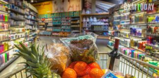 Italian Grocer To Deploy AI Pricing Tool