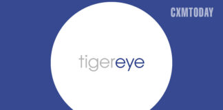 Measure Knowledge Management Effectiveness With Tiger Eye