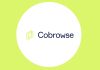 Cobrowse Unveils Visual Intelligence Product for Customer Support Solving-AI’s-Blind-Spot-Cobrowse-Unveils-Visual-Intelligence