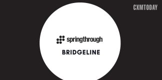 Springthrough Partners with Bridgeline Springthrough Partners with Bridgeline to Power Search