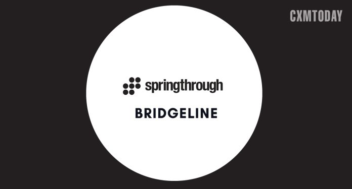 Springthrough Partners with Bridgeline to Power Search