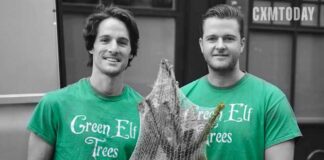 Stuart, Green Elf Trees Partner For Sustainable Christmas Tree Delivery Across London