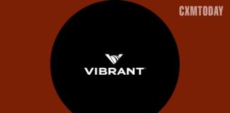 Vibrant Media Adds Cookieless Audience Targeting to Quintesse Line