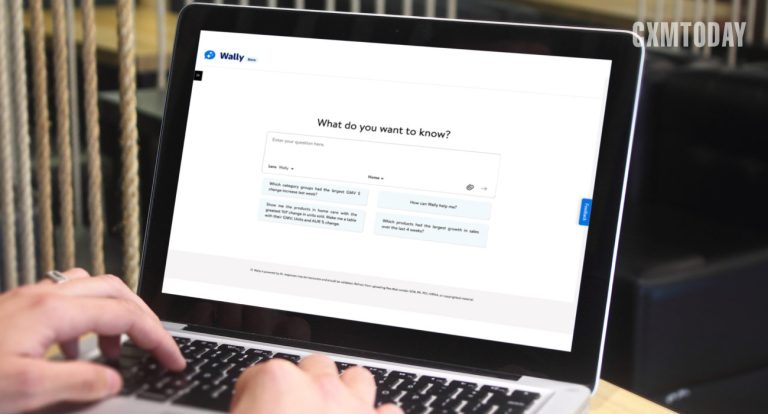 Walmart Introduces AI-Powered Assistant Wally for Merchants